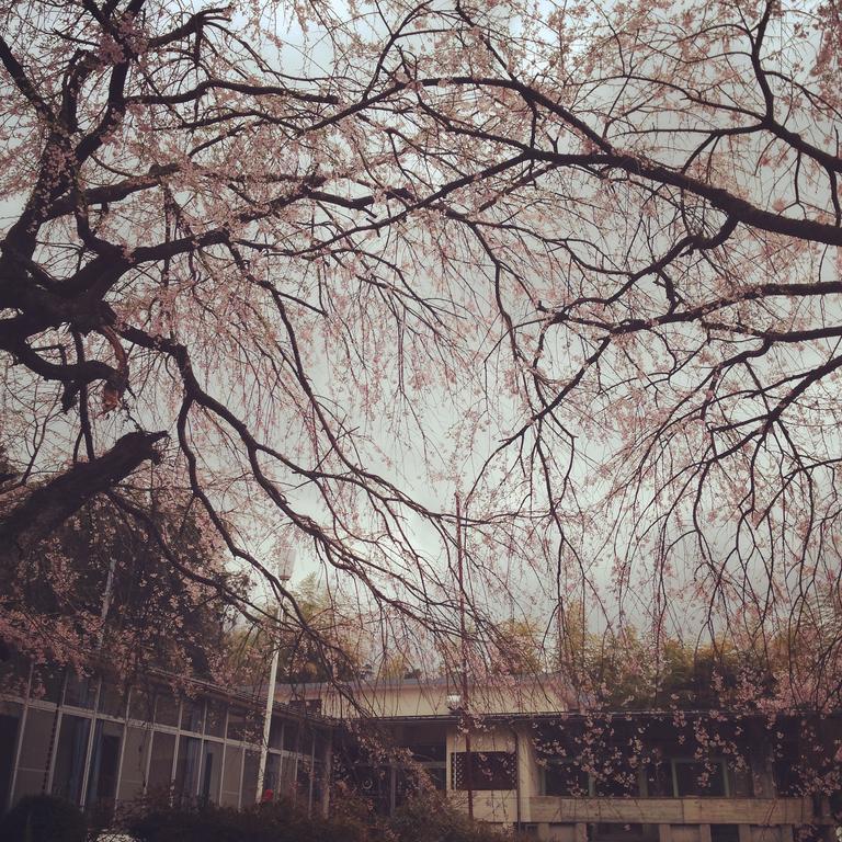 מיאזו Amanohashidate Youth Hostel מראה חיצוני תמונה