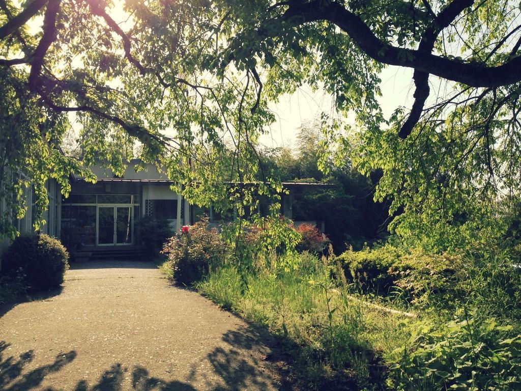 מיאזו Amanohashidate Youth Hostel מראה חיצוני תמונה
