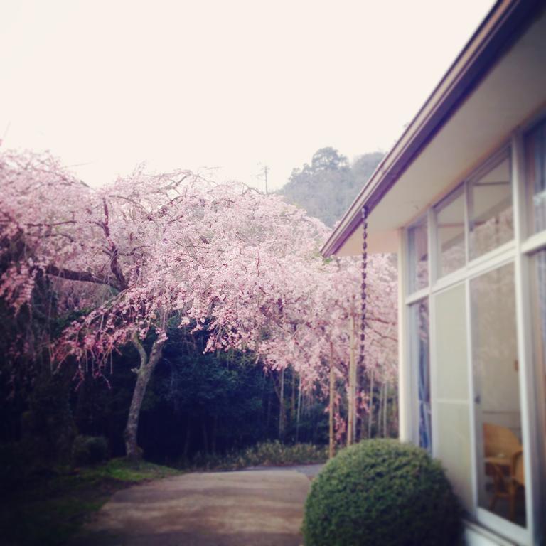 מיאזו Amanohashidate Youth Hostel מראה חיצוני תמונה